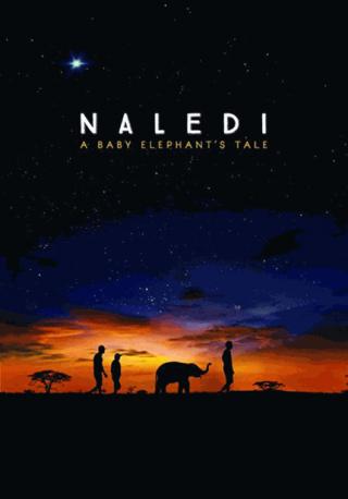 فيلم Naledi A Baby Elephant’s Tale 2016 مترجم