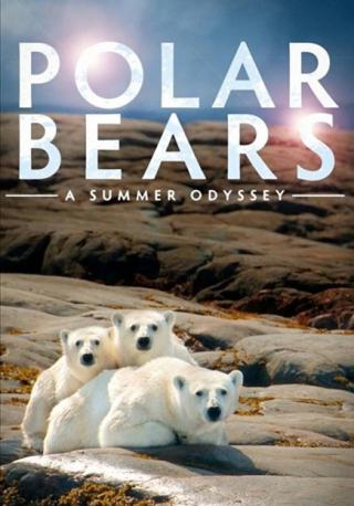 فيلم Polar Bears A Summer Odyssey 2012 مترجم