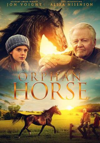 فيلم Orphan Horse 2018 مترجم