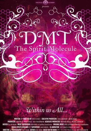 فيلم DMT The Spirit Molecule 2010 مترجم