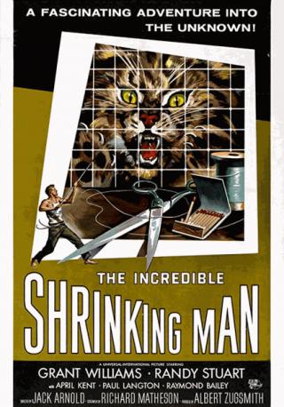 فيلم The Incredible Shrinking Man 1957 مترجم