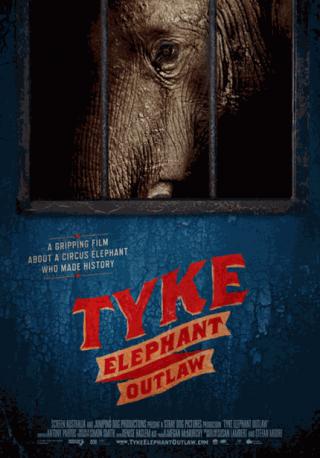 فيلم Tyke Elephant Outlaw 2015 مترجم