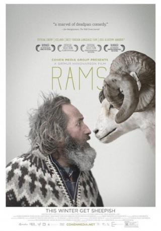 فيلم  Rams 2015 مترجم