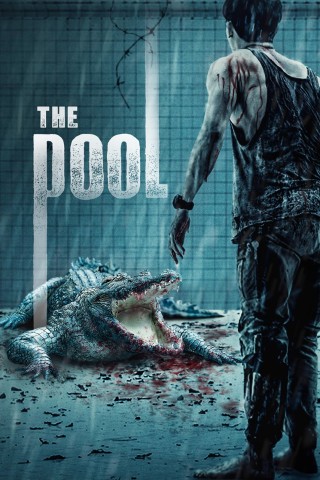 فيلم The Pool 2018 مترجم