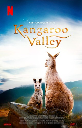 مشاهدة فيلم Kangaroo Valley 2022 مترجم