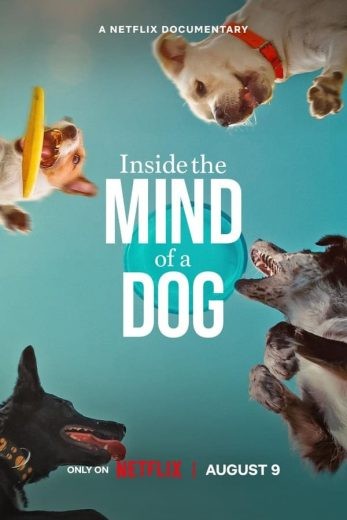  مشاهدة فيلم Inside the Mind of a Dog 2024 مترجم