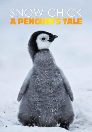 فيلم Snow Chick A Penguin’s Tale 2015 مترجم