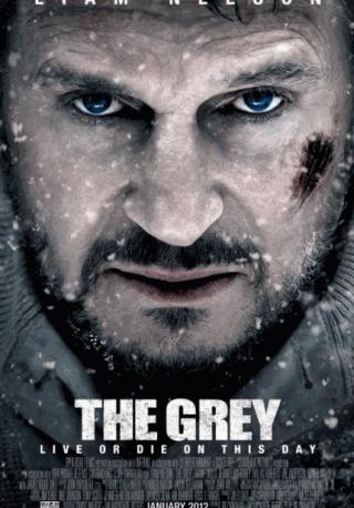 فيلم The Grey 2011 مترجم