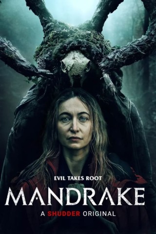 مشاهدة فيلم Mandrake 2022 مترجم