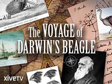  مشاهدة فيلم Darwin & the Beagle’s Scandal 2012 مترجم