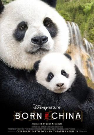 فيلم Born In China 2016 مترجم