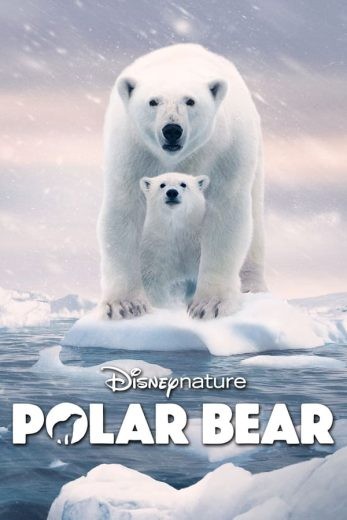  مشاهدة فيلم Polar Bear 2022 مترجم