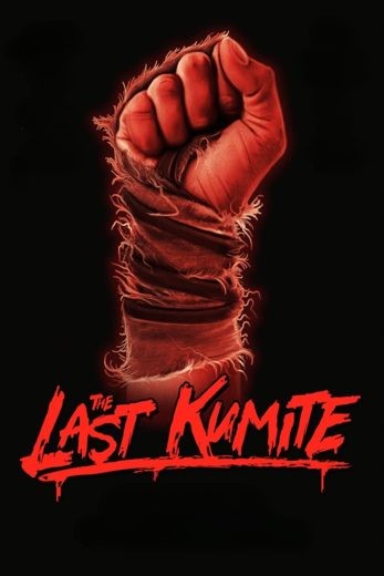  مشاهدة فيلم The Last Kumite 2024 مترجم