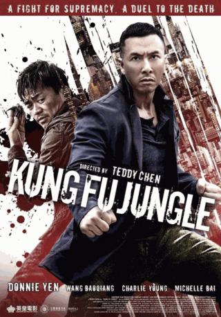 فيلم Kung Fu Jungle 2014 مترجم